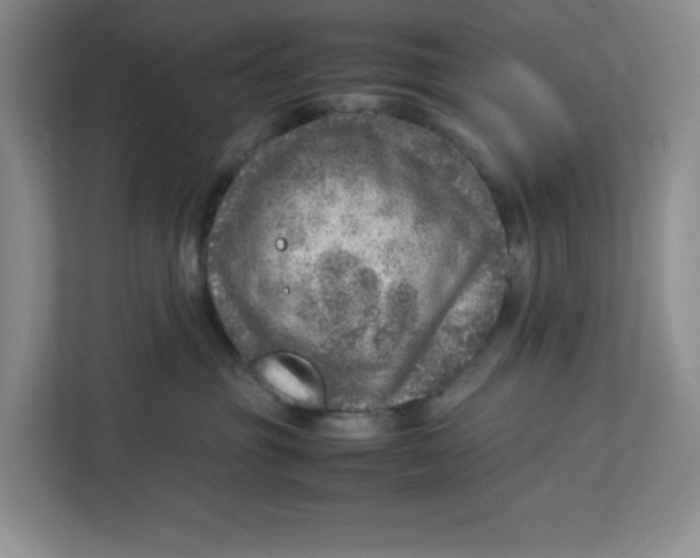 X0000112950381200909141413