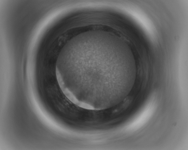 X0000112950383200909141413