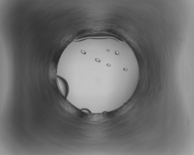 X0000112950384200909141413