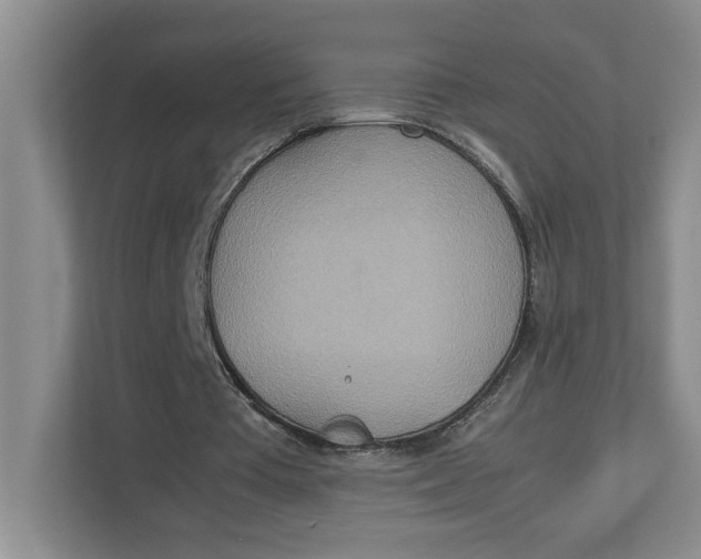 X0000112950385200909141412