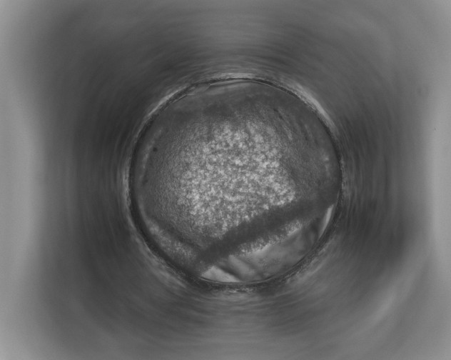 X0000112950386200909141412