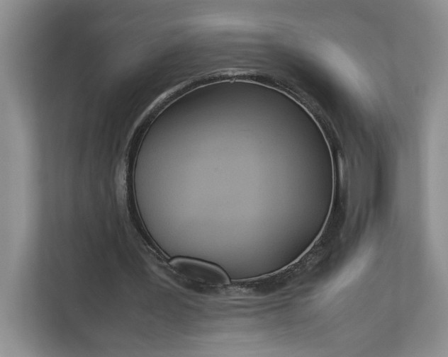 X0000112950387200909141412