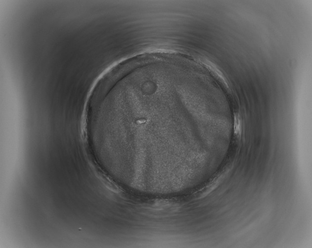 X0000112950388200909141412