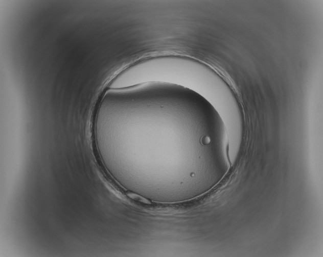 X0000112950389200909141412