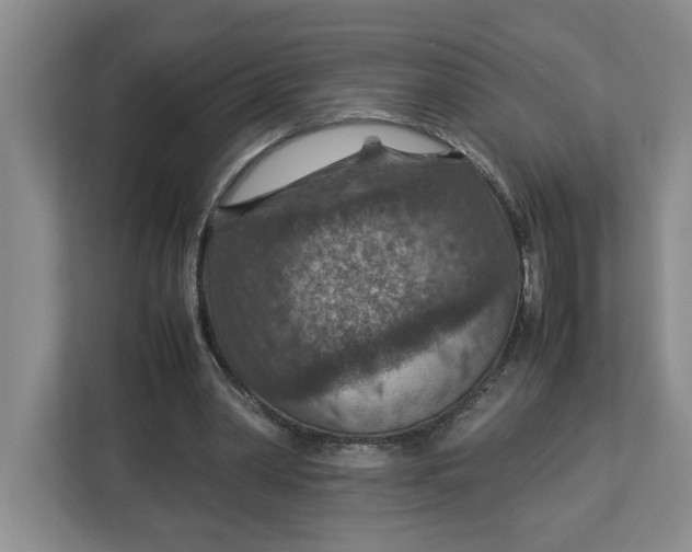 X0000112950390200909141412