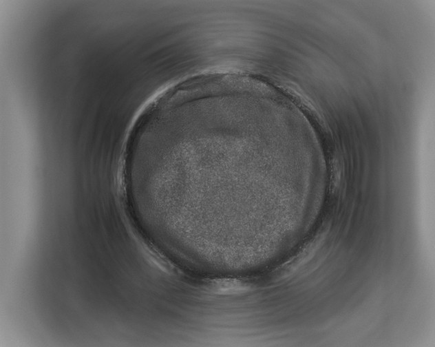 X0000112950392200909141412