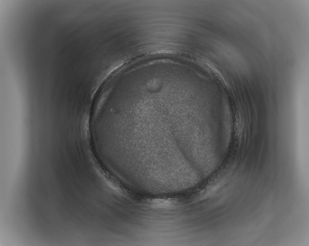 X0000112950394200909141412