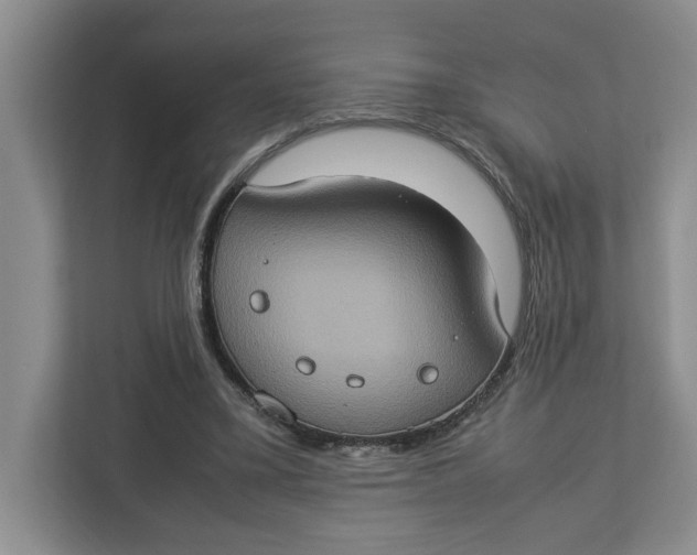 X0000112950395200909141412