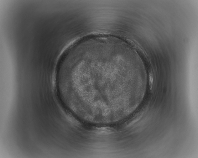 X0000112950396200909141412