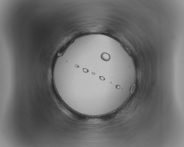 X0000112950397200909141412