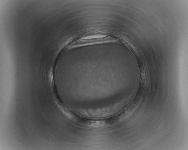 X0000112950398200909141412