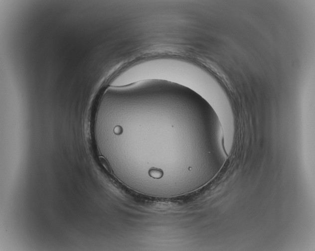 X0000112950399200909141412