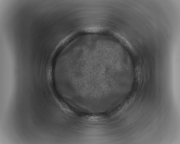 X0000112950400200909141412