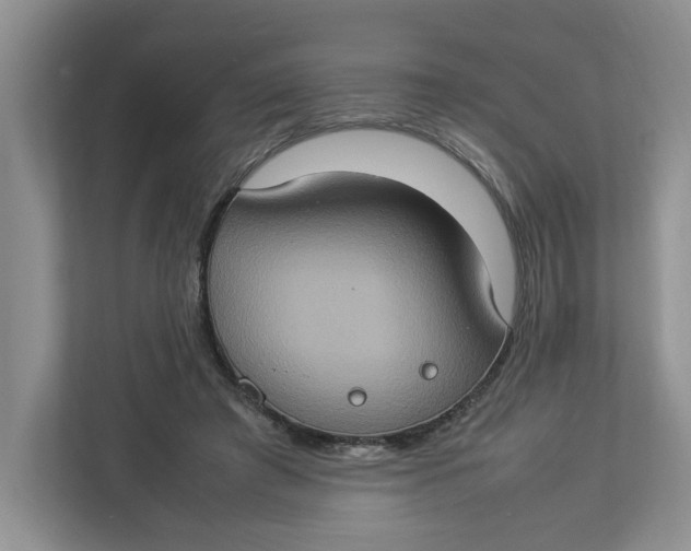 X0000112950401200909141412