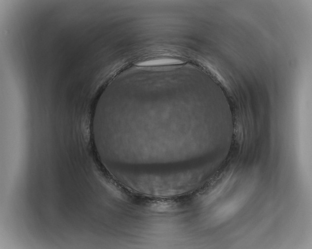 X0000112950402200909141412