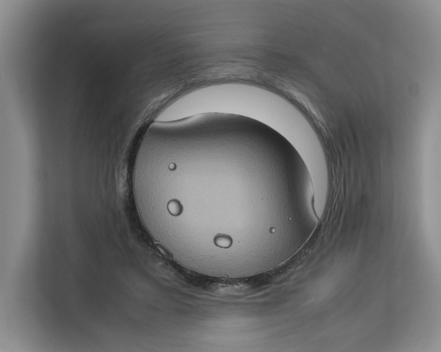 X0000112950403200909141412