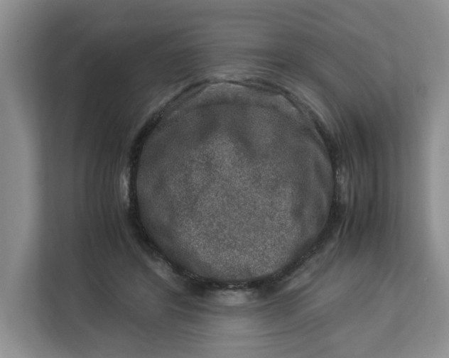 X0000112950404200909141412