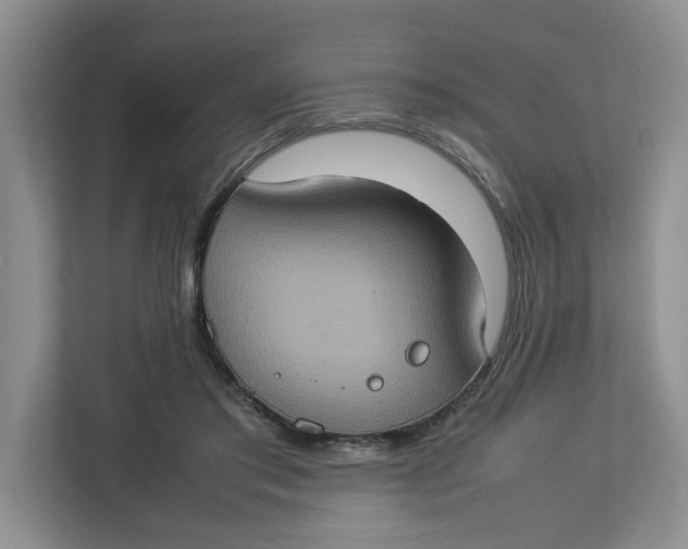 X0000112950405200909141412