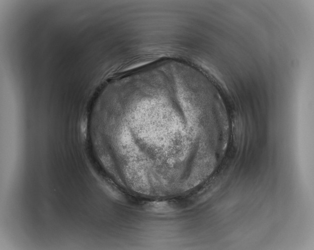 X0000112950406200909141412