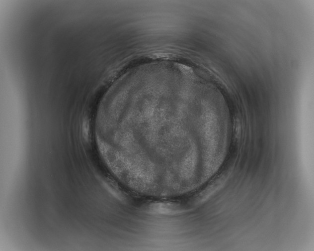 X0000112950408200909141412