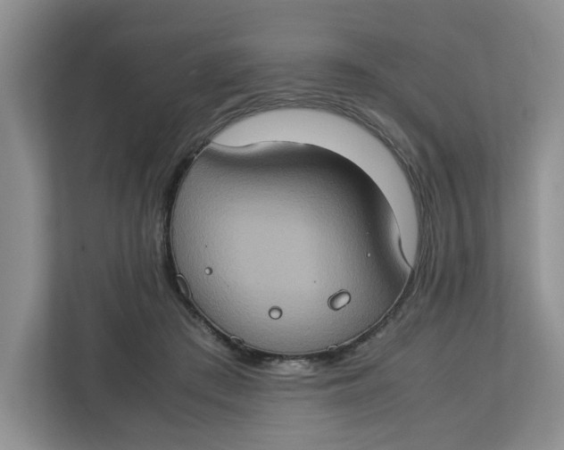 X0000112950409200909141412