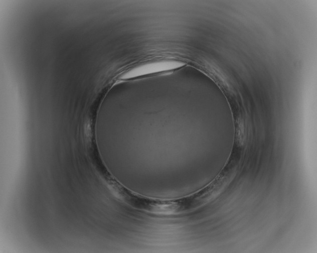 X0000112950410200909141412