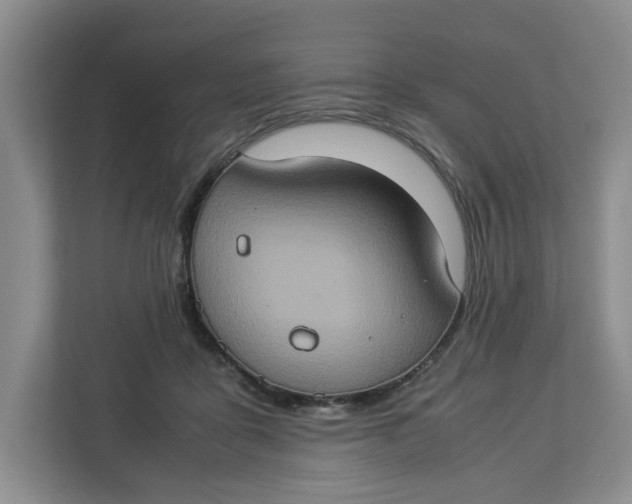 X0000112950411200909141412