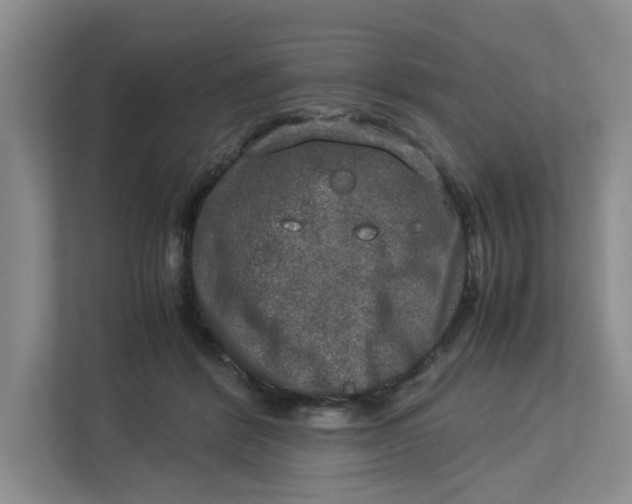 X0000112950412200909141412