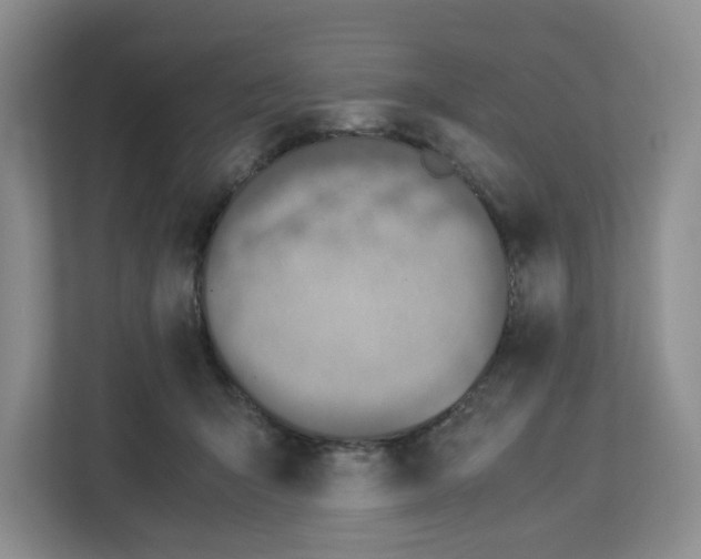 X0000112950415200909141412