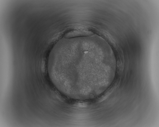 X0000112950416200909141412