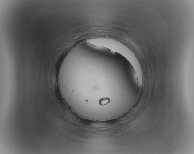 X0000112950417200909141412