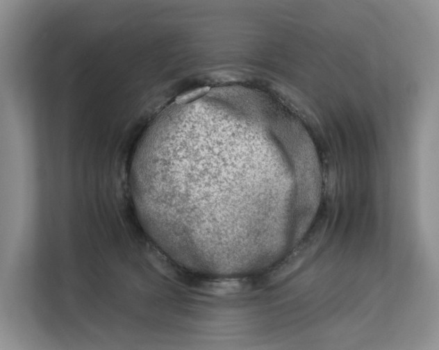 X0000112950418200909141412