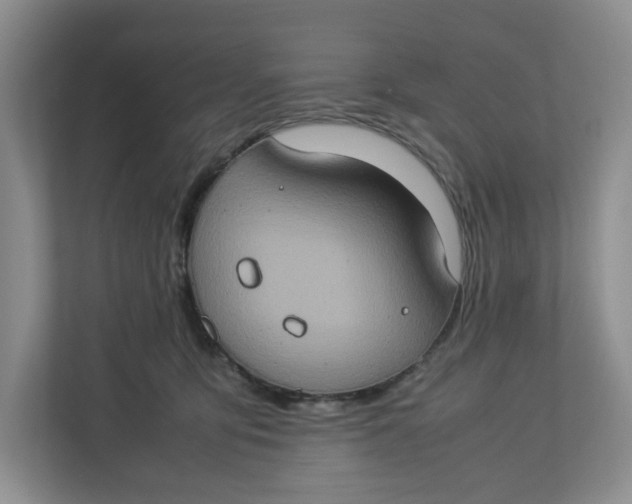 X0000112950419200909141412