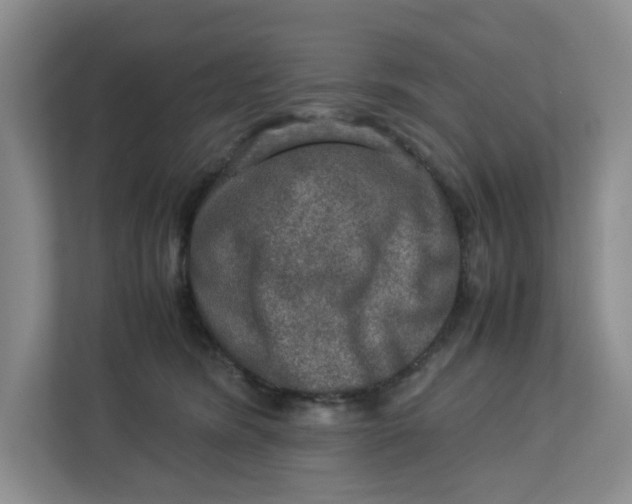 X0000112950420200909141412