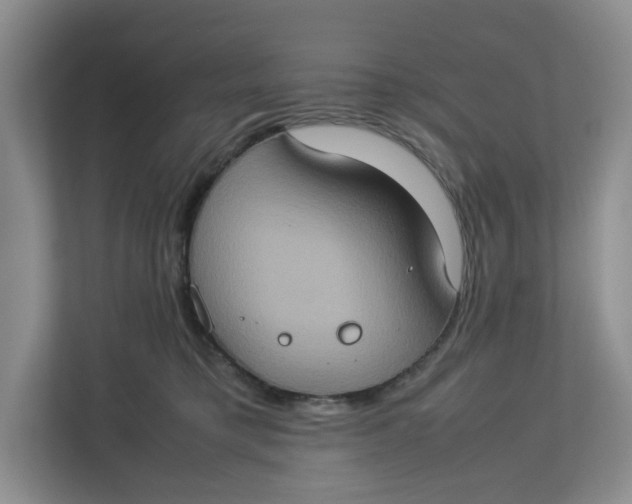 X0000112950421200909141412