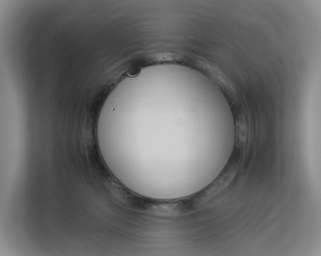 X0000112950422200909141411