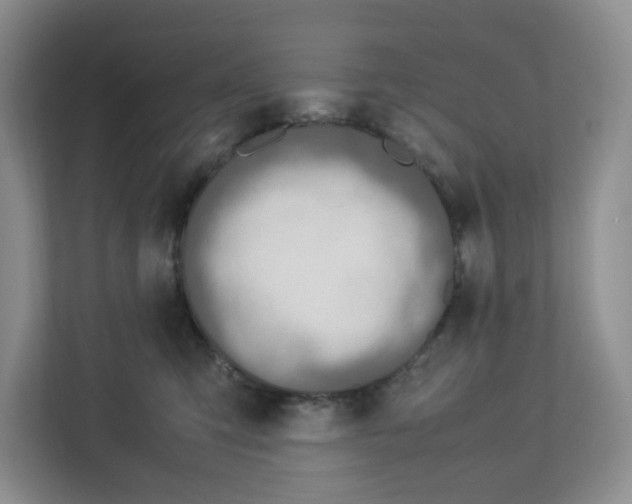 X0000112950423200909141411