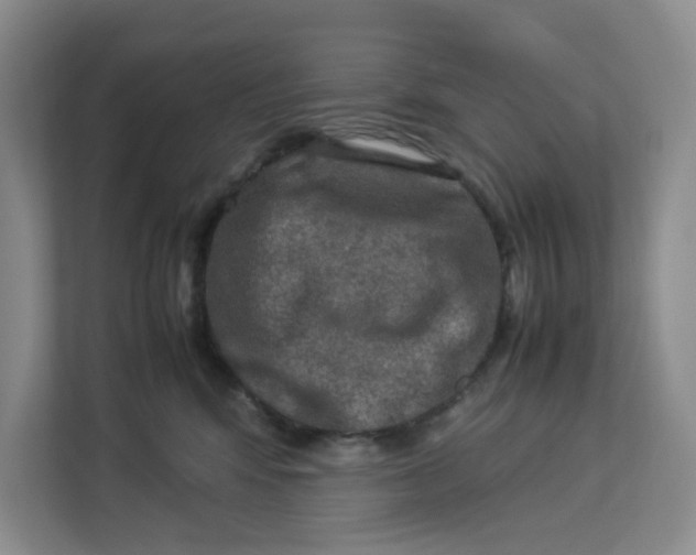 X0000112950424200909141411