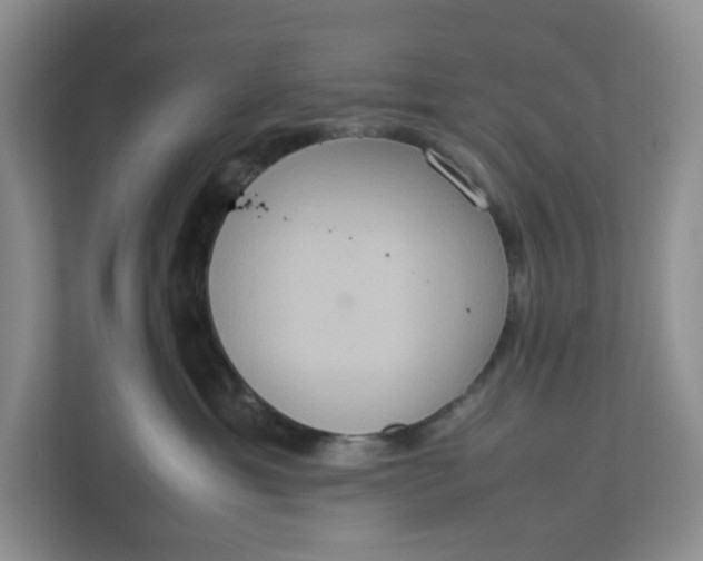 X0000112950429200909141411