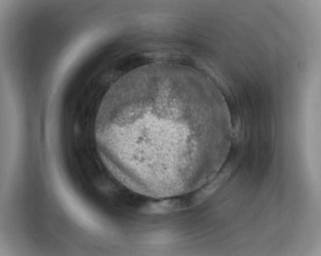 X0000112950430200909141411