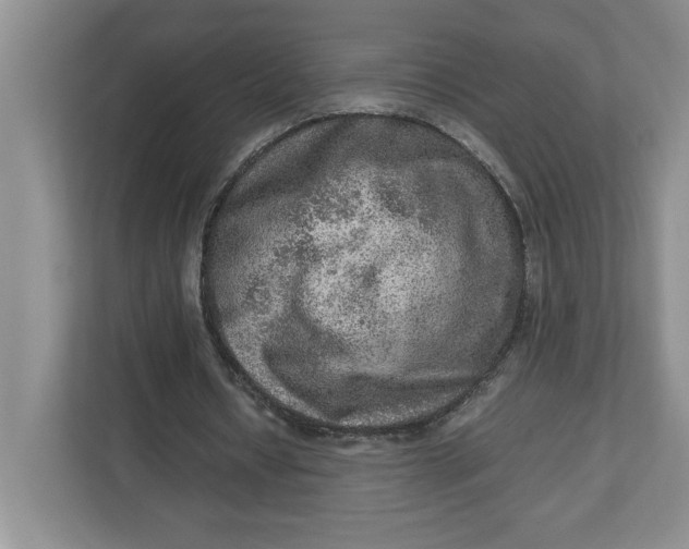 X0000112950434200909141411