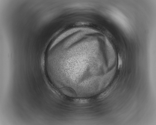 X0000112950435200909141411