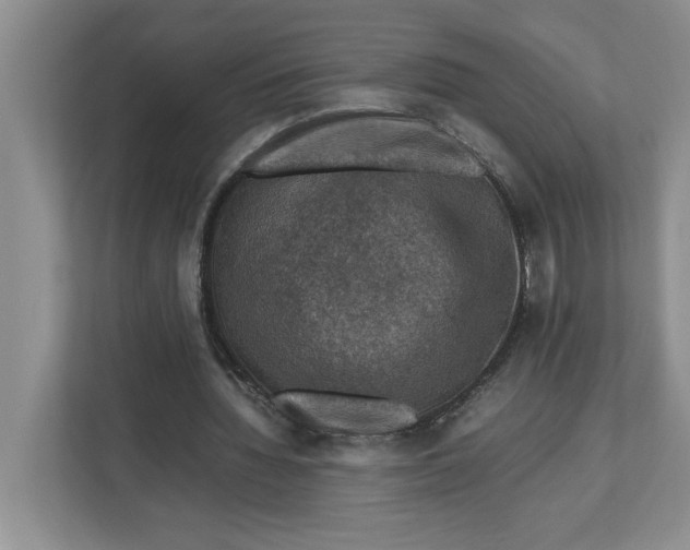 X0000112950436200909141411