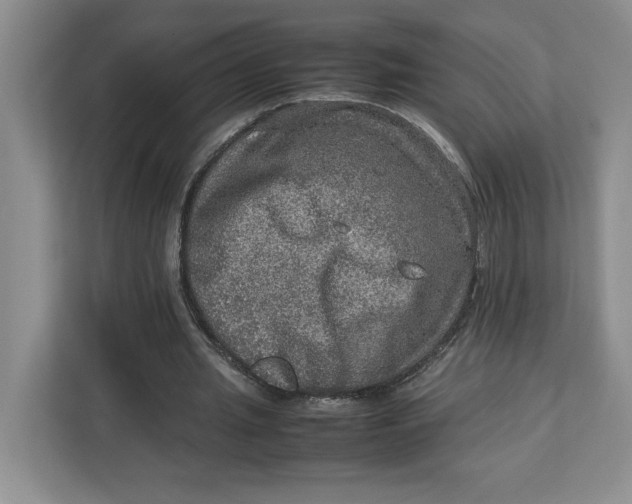 X0000112950437200909141411