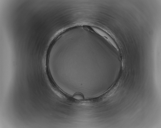 X0000112950438200909141411