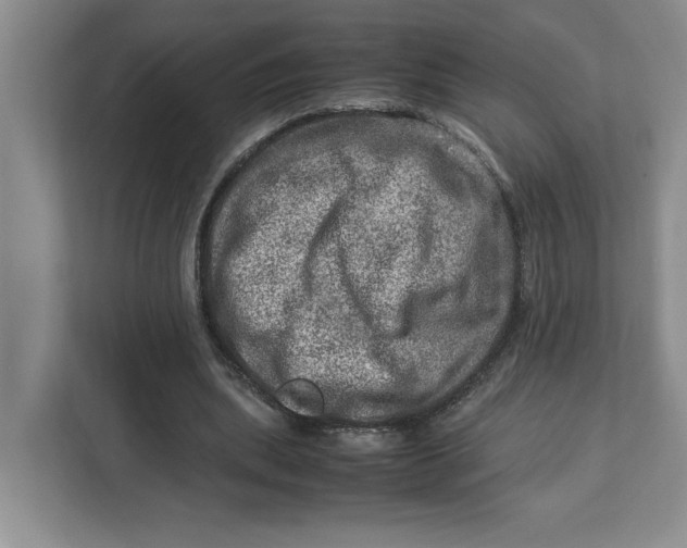 X0000112950439200909141411