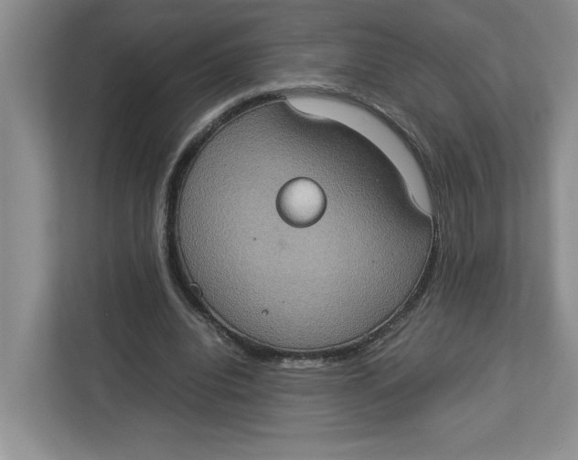 X0000112950440200909141411