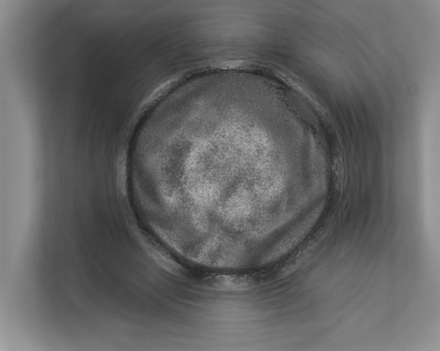 X0000112950442200909141411