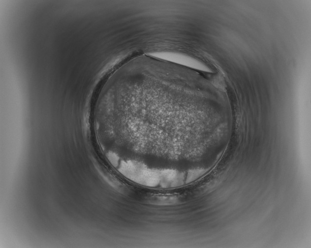 X0000112950443200909141411