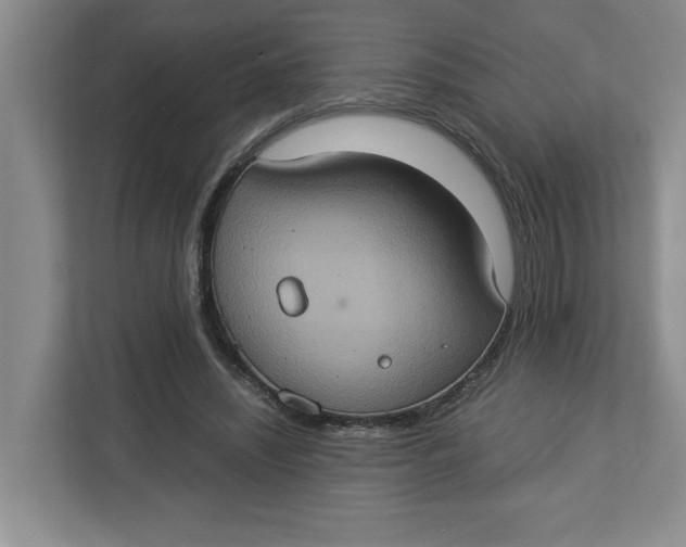 X0000112950444200909141411